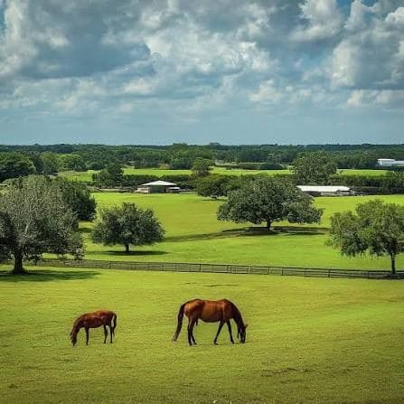 NW Ocala Horse Country neighborhood
