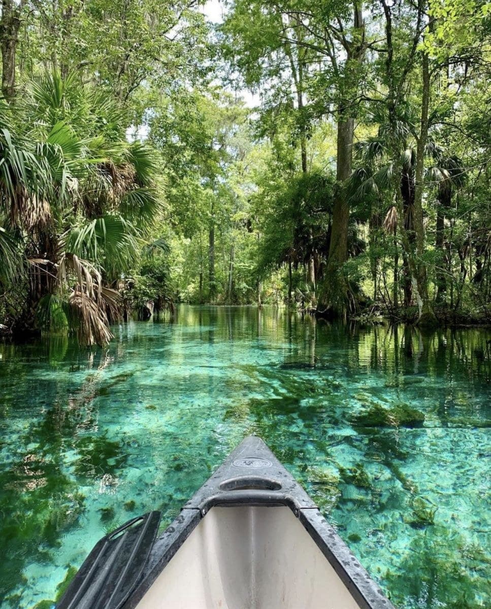 Silver Springs neighborhood
